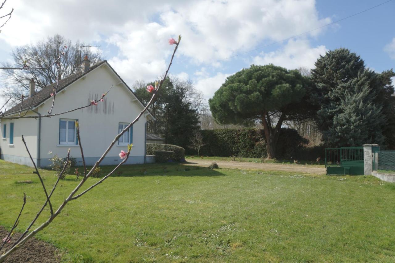 Les Bruyeres De Jeanne Et Rene Zoo De Beauval A 20Min,Chateaux Tout Inclus Fontguenand Eksteriør billede