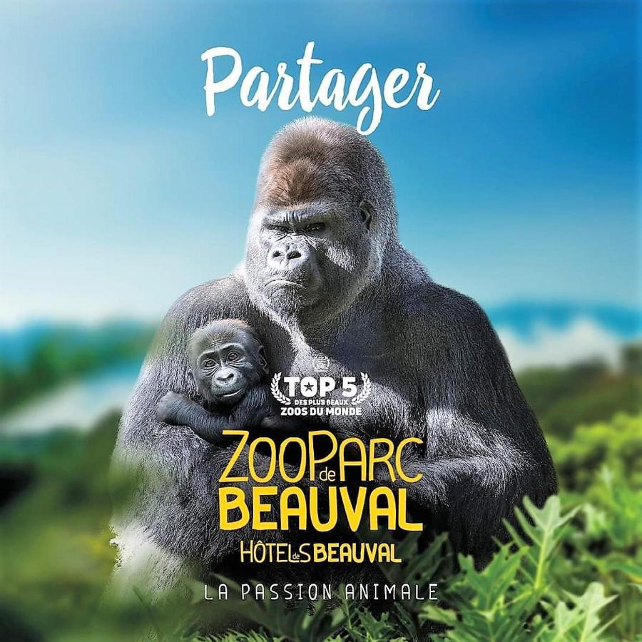 Les Bruyeres De Jeanne Et Rene Zoo De Beauval A 20Min,Chateaux Tout Inclus Fontguenand Eksteriør billede